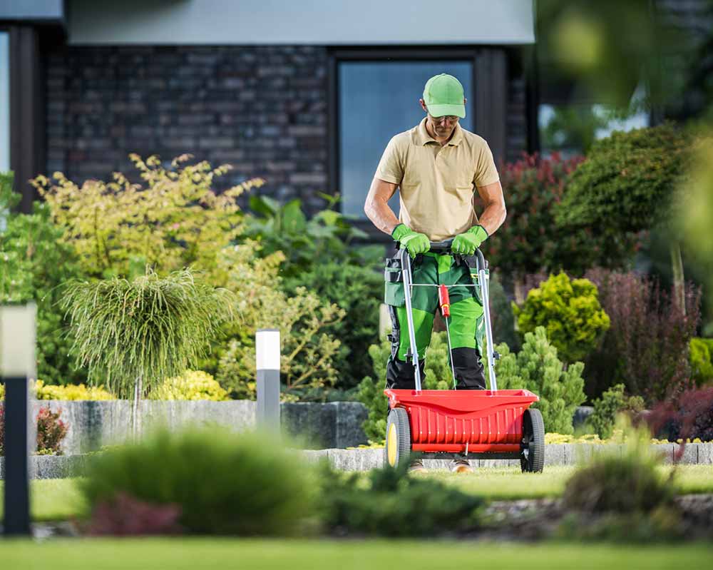 Persona realizando mantenimiento a jardín