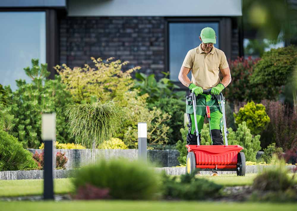 Hombre realizando mantenimiento a jardín